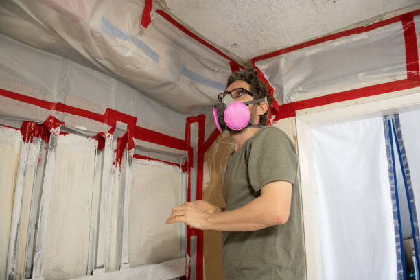 Mold Odor Removal Services in Bridgeville, PA