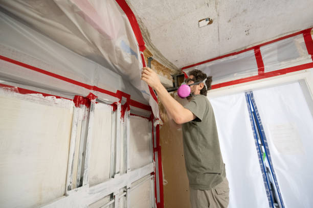 Best Mold Odor Removal Services  in Bridgeville, PA